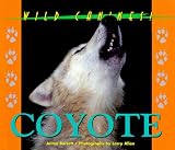 Coyote