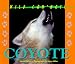 Wild Canines of North America - Coyote (Wild Canines of North America)