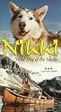 Nikki: Wild Dog of the North [VHS]