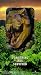 VHS : The Lost World: Jurassic Park