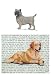 Cairn Terrier Glass Cutting Board