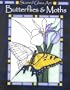 Stained Glass Butterflies And Moths (Stained Glass Art)