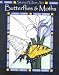 Books : Stained Glass Butterflies And Moths (Stained Glass Art)