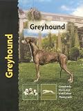 Greyhound (Pet love)
