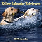 Yellow Labrador Retrievers: 2003