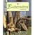 Basketmaking (Art of Crafts)