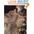 John Singer Sargent: Portraits of the 1890s: Complete Paintings: Portraits of the 1890s Vol 2 (Complete Paintings of John Singer Sargent)