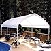 Arched Canopy - 10x20'