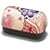 HAKOYA ���ɂ���ٓ� ���s���N 1435