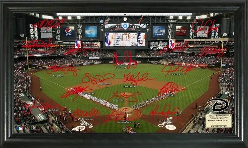 Highland Mint MLB Arizona Diamondbacks Signature Field Framed Art