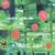 Takemitsu: Garden Rain