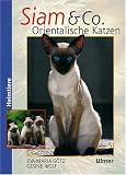 Buch