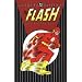 The Flash Archives, Vol. 1 (DC Archive Editions)