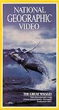 National Geographics The Great Whales [VHS]