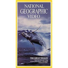 National Geographic's The Great Whales
