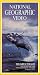 VHS : National Geographic's The Great Whales
