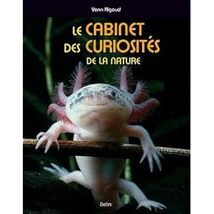 http://ecx.images-amazon.com/images/I/515Cg3HIjNL._SL500_AA300_.jpg