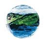 Churchill China What Ever It Takes Ewan McGregor Coupe Plate