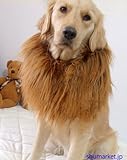 SH-コスチューム ライオン 着ぐるみ ペット用 犬 大変身
