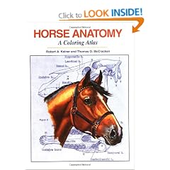 Horse Anatomy: A Coloring Atlas