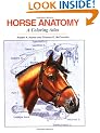 Horse Anatomy: A Coloring Atlas