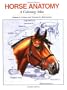 Horse Anatomy: A Coloring Atlas