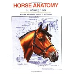 Horse Anatomy: A Coloring Atlas