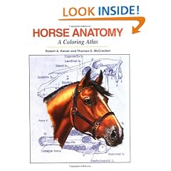 Horse Anatomy: A Coloring Atlas