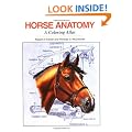 Horse Anatomy: A Coloring Atlas