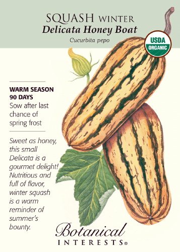 Squash Winter Delicata Honeyboat Organic Seed Squash Winter Delicata Honeyboat Organic Seed