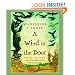A Wind in the Door (Madeleine L'Engle's Time Quintet)