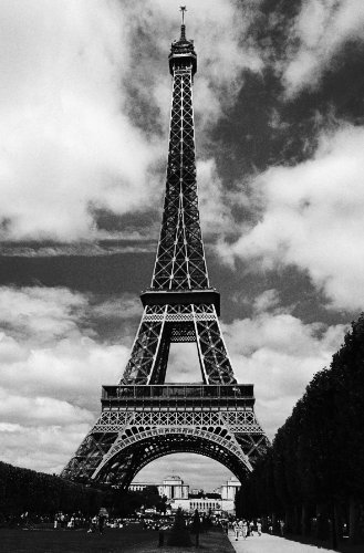 cyber Monday DM679 Ideal Decor Eiffel 1 PanelB004LS6LXC
