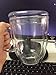 Vino2Go Double Wall Insulated Acrylic Wine Tumbler with Merlot Slide Top Lids 10 oz.