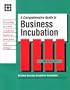 A Comprehensive Guide to Business Incubation
