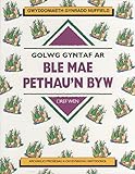 Golwg gyntaf ar ble mae pethau'n byw