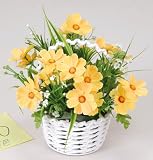 ���G�}�A�[�g�t�����[�@�R�X���X�x �`�Q�S�P�R�|�R�O�@
