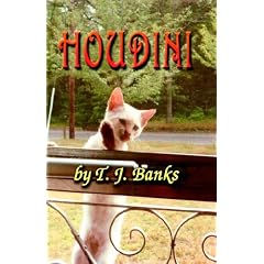 HOUDINI