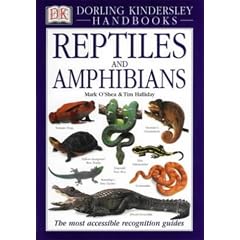 Reptiles and Amphibians: The Visual Guide to More Than 400 Species from Around the World (DK Handbooks)