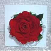 送料無料　大輪のプリザーブドフラワーアレンジ　インパクト壁掛け　置き型　2WAY　Ａ　赤い薔薇　無料ラッピング　手提げ袋付　代引きＯＫ