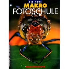 Die neue Makro-Fotoschule: Die faszinierende Welt der Nahaufnahme