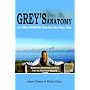 Grey's Anatomy:  An Unauthorized View From The Other Side: Metaphors, Symbolism, And Arcs From The First Three Seasons