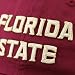 515DKmoq35L. AA75  Nike Florida State Seminoles (FSU) Ladies Garnet 2010 Heritage 86 Sideline Hat