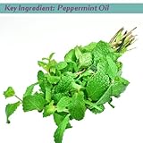 Detox, Dead Sea Bath Salts Will Give You The Replenishing Boost You've Been Craving With