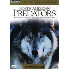 North American Predators - Episodes from Marty Stouffer's Wild America As Seen On PBS by 