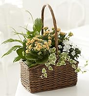 Large Country Basket