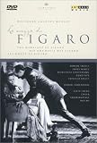 Le Nozze Di Figaro [DVD] [2000]  [NTSC] [US Import]