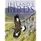 Irish Interest Books for Christmas