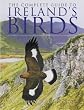 The Complete Guide to Ireland's Birds