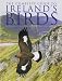 The Complete Guide to Ireland's Birds
