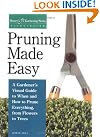 Pruning Made Easy...